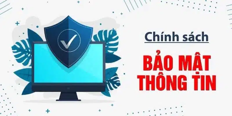 Câu hỏi về chính sách ABC8